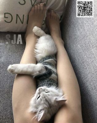 国产痴汉av久久精品_BD英语BD在线观看